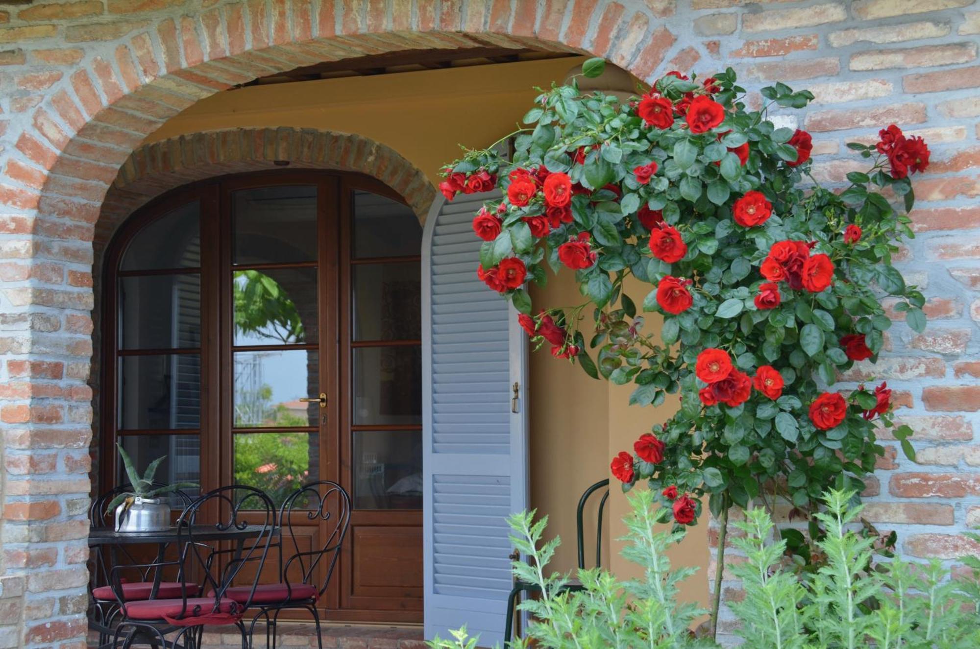 Casa Magnolia Apartment Terricciola Exterior photo